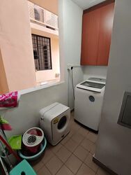 Dover Parkview (D5), Condominium #567698821